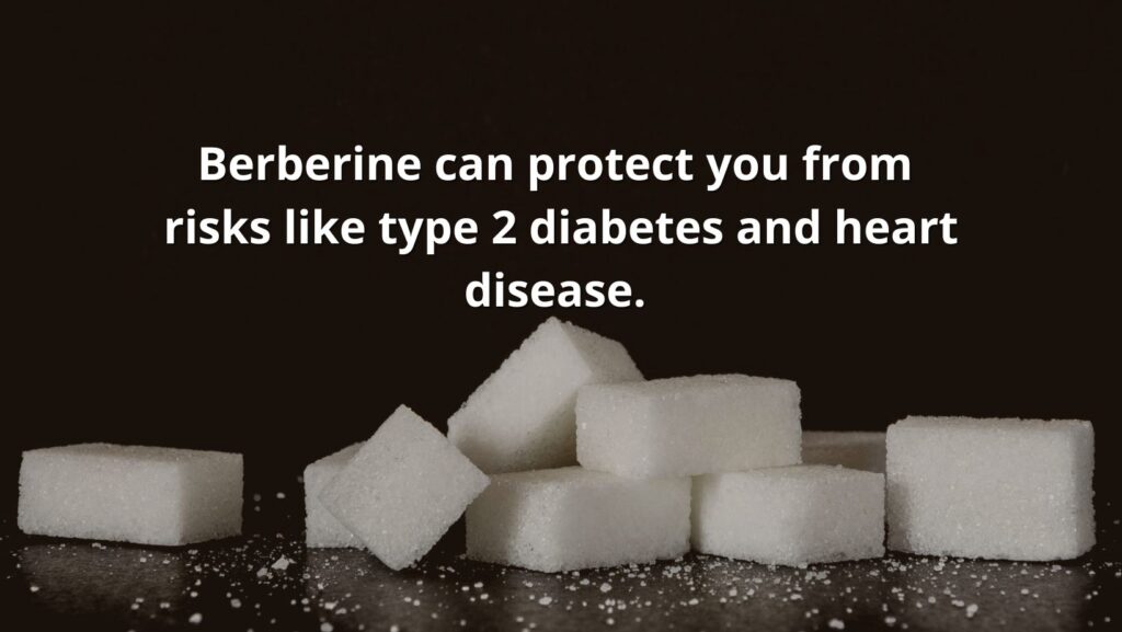 berberine benefits featured image