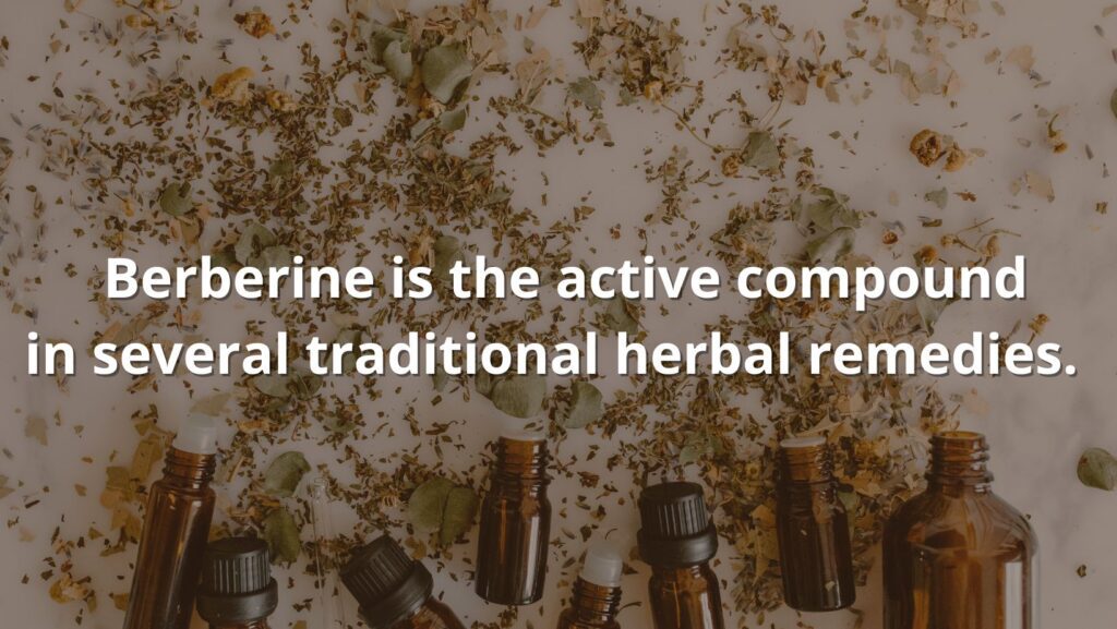 berberine comes from herbal medicine featured text
