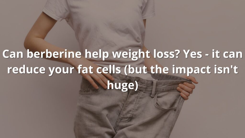 berberine weight loss featured text