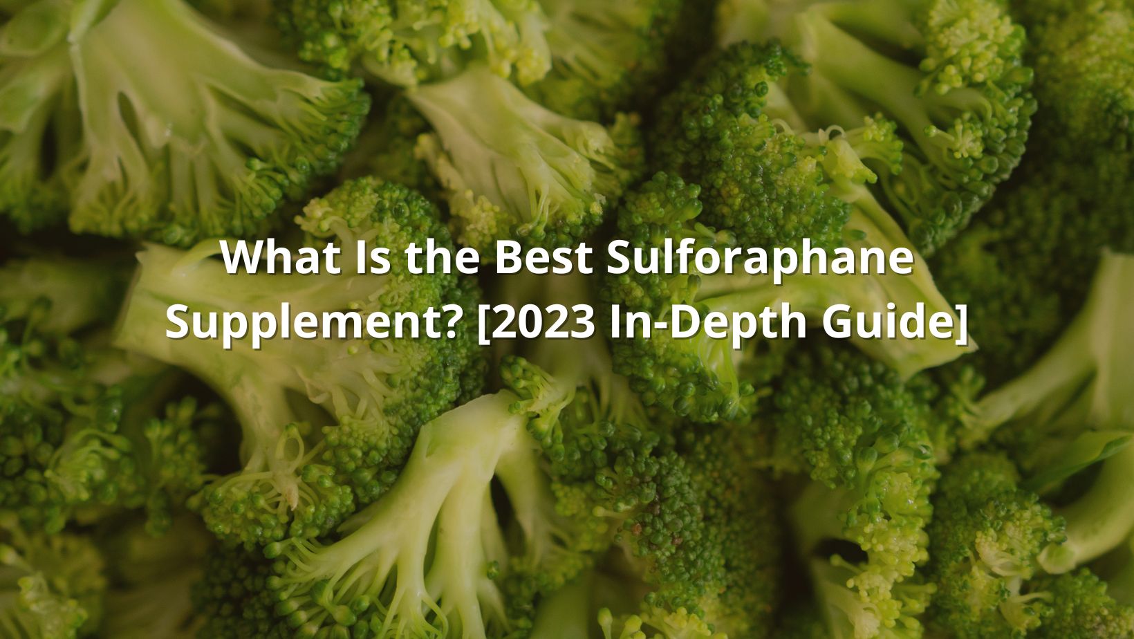 what is the best sulphoraphane supplement featured image