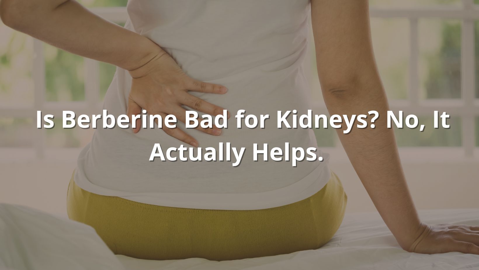 berberine kidney featured image