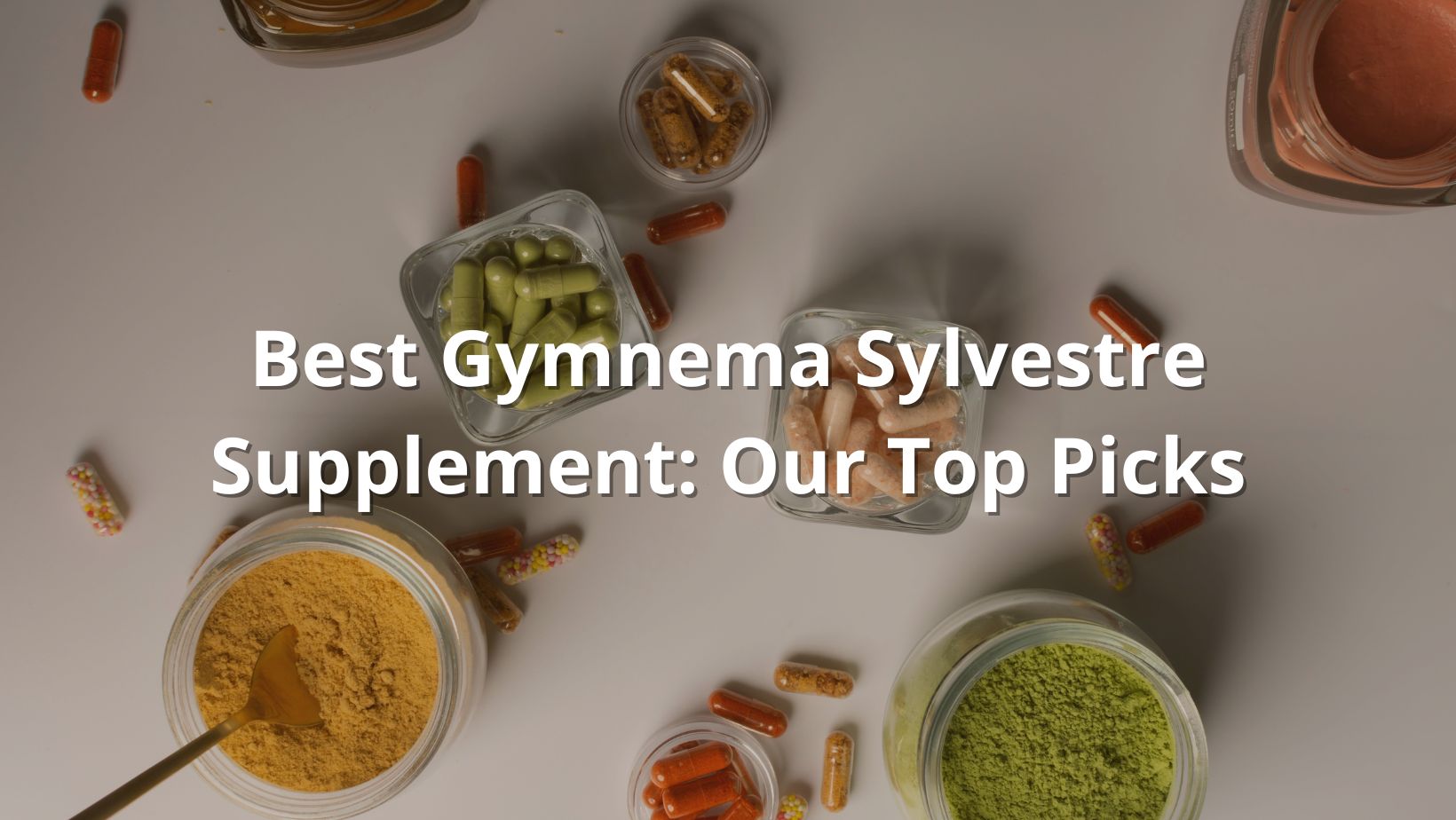 Best Gymnema Sylvestre Supplement featured image